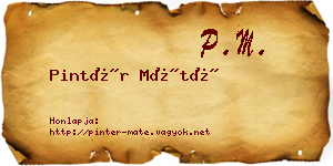 Pintér Máté névjegykártya